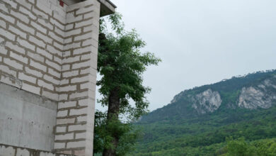 Photo of Энергоэффективное строительство дома из ракушечника