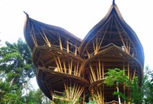 Photo of Дом из экологически чистого бамбука