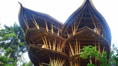 Photo of Дом из экологически чистого бамбука
