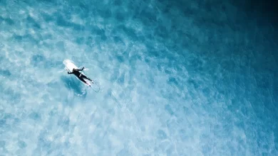 Photo of Новые тенденции в материалах